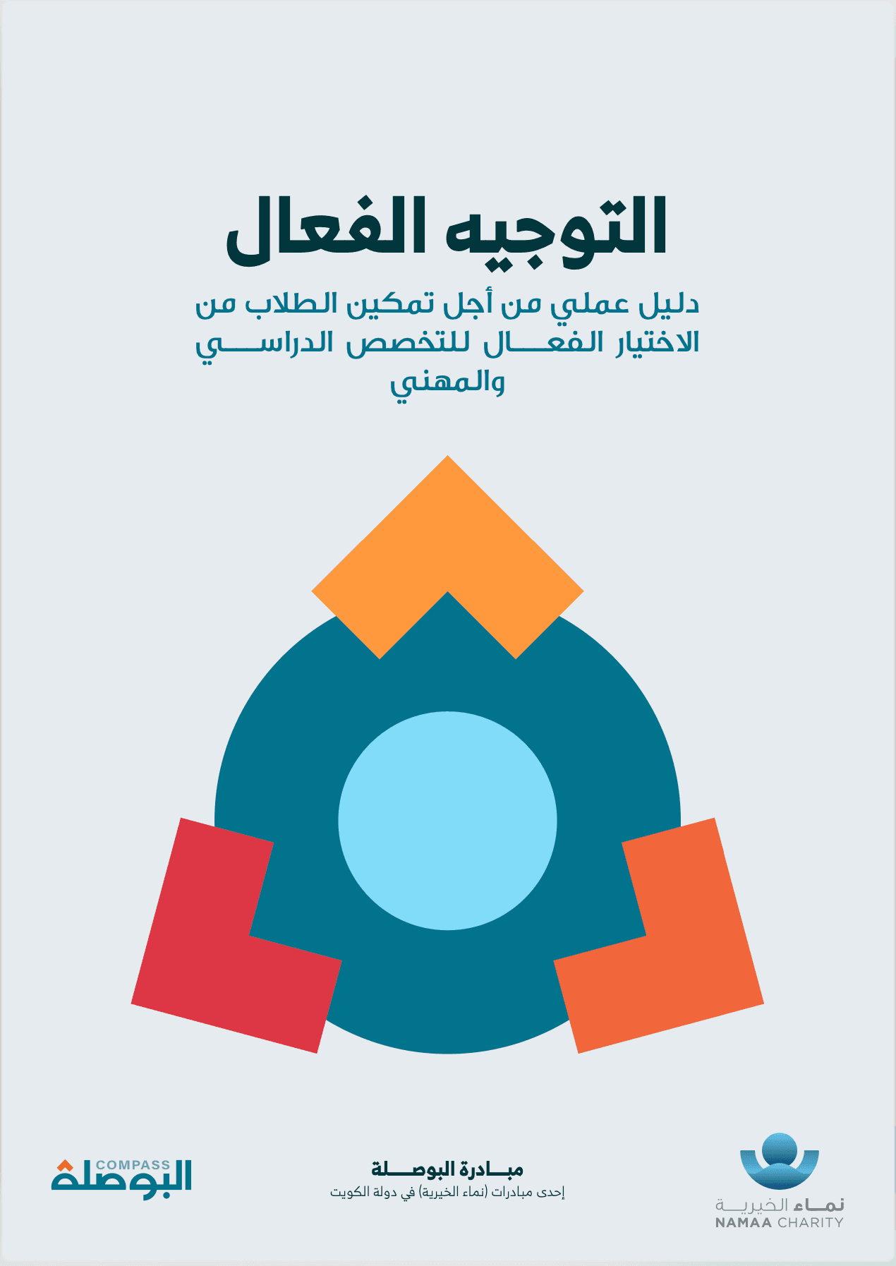 التوجيه الفعال